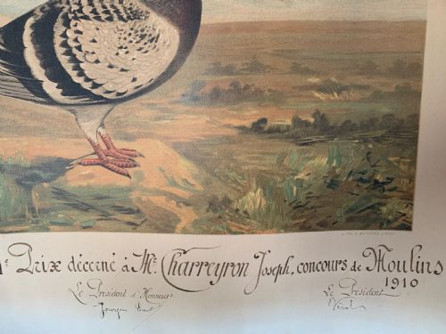 fig 1. PIGEON FANCIERS’ LITHOGRAPHIC DIPLOMA 1910