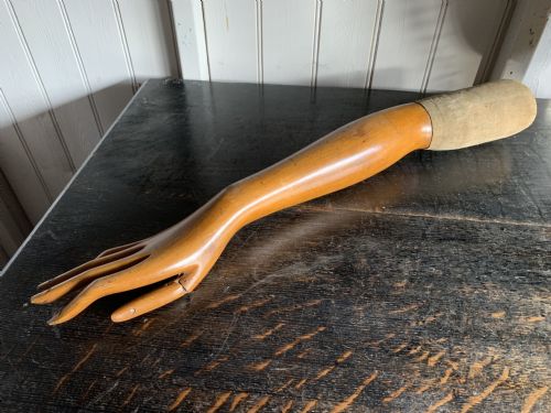Artist Model Hand and Arm