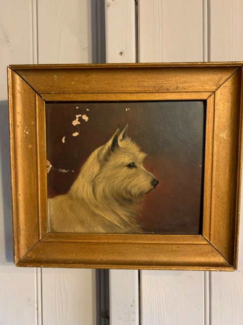 Oil on Board of a Terrier Dog