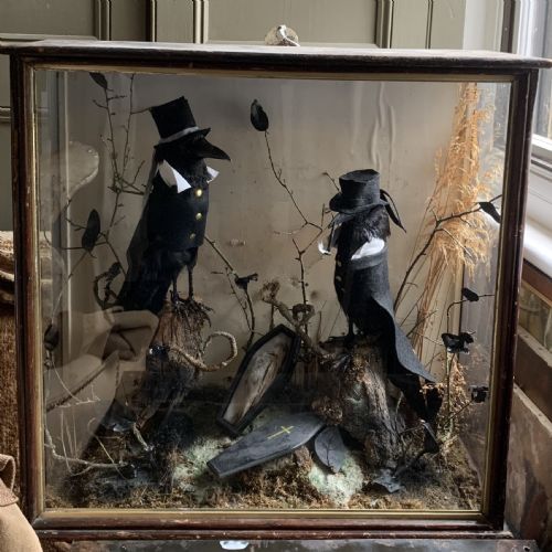 Victorian Taxidermy Mortician Crows