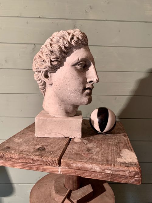 19th Century Museum Plaster  -  a Classical Profile