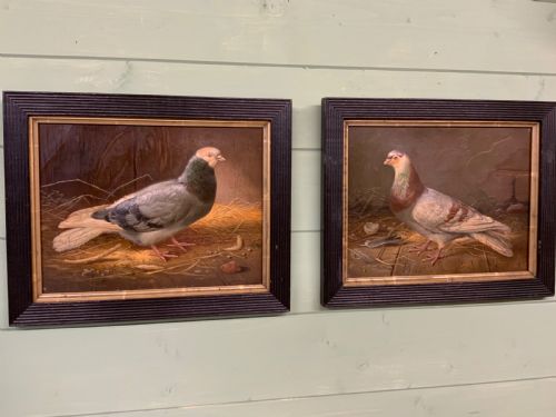 Two Victorian Embossed Pictures of Racing Pigeons