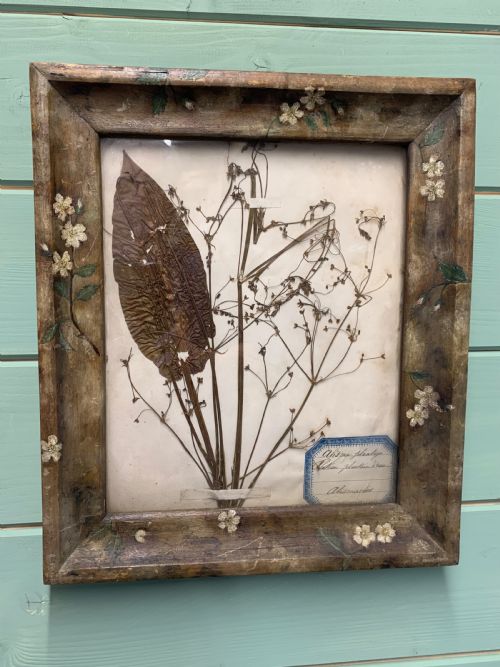HERBARIUM IN A FOLK ART FRAME - ADDITIONAL PHOTO 2