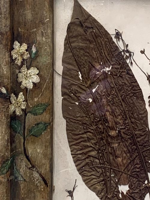 HERBARIUM IN A FOLK ART FRAME - ADDITIONAL PHOTO 4