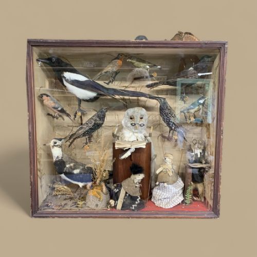 Anthropomorphic Taxidermy Diorama