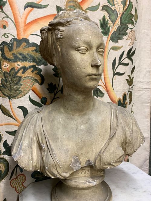 fig 2. BUST OF A PRINCESS BY D BRUCCIANI