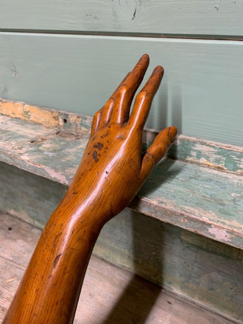 Artists Model of an Arm