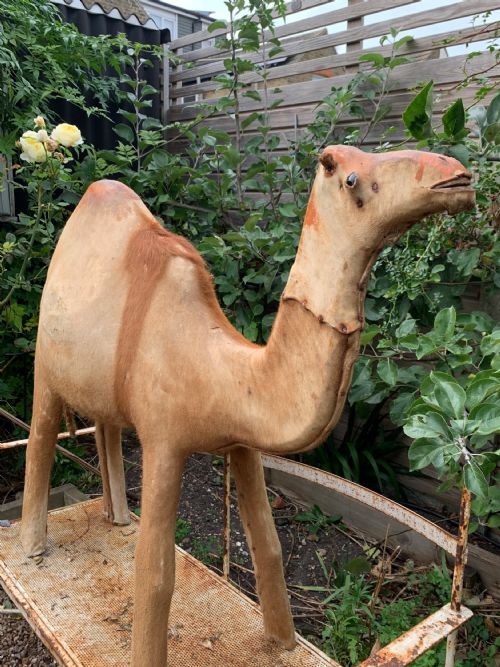 WINDOW DISPLAY NATIVITY MODEL OF A CAMEL - ADDITIONAL PHOTO 4