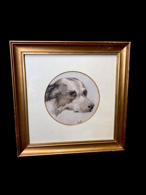 19th Century Watercolour Portrait of a Terrier
