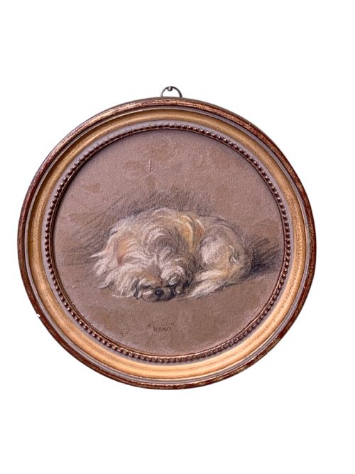 Charcoal & Pastel Study of a Pekingese Dog