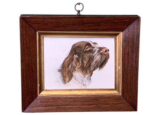 Early 20thc Watercolour of a Wire Haired Pointer Dog