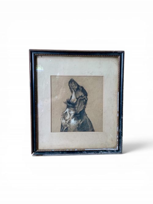 A CHARMING ANTIQUE CHARCOAL DRAWING OF A DOG - ADDITIONAL PHOTO 1