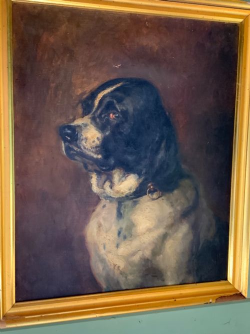 French School Oil Portrait of a Dog C.1910