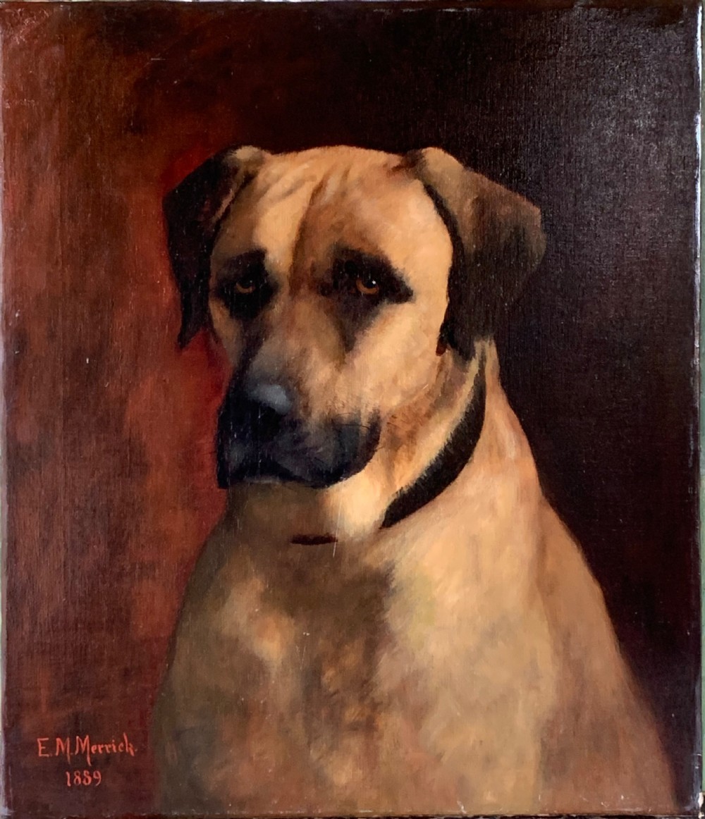 PORTRAIT OF A DOG