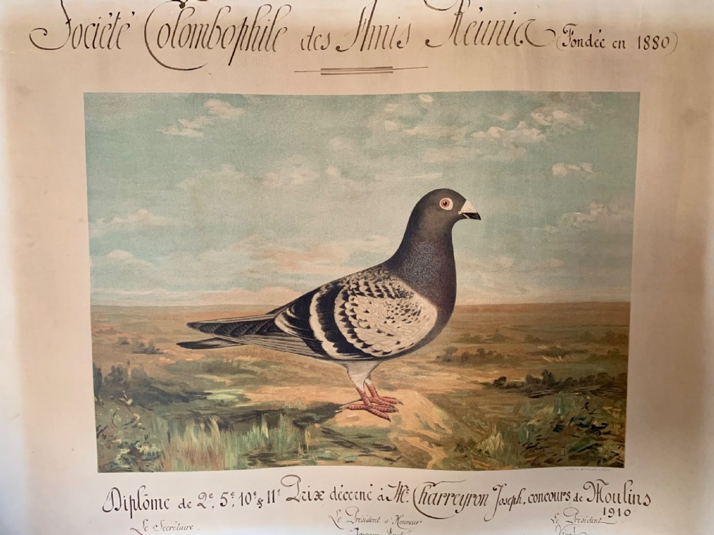 PIGEON FANCIERS’ LITHOGRAPHIC DIPLOMA 1910 View IV