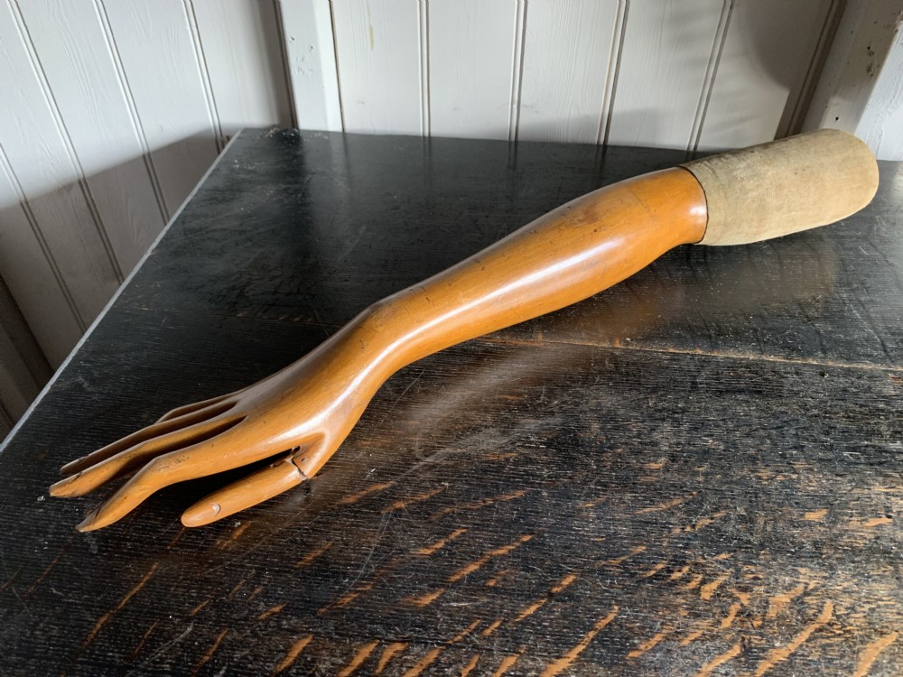 ARTIST MODEL HAND AND ARM