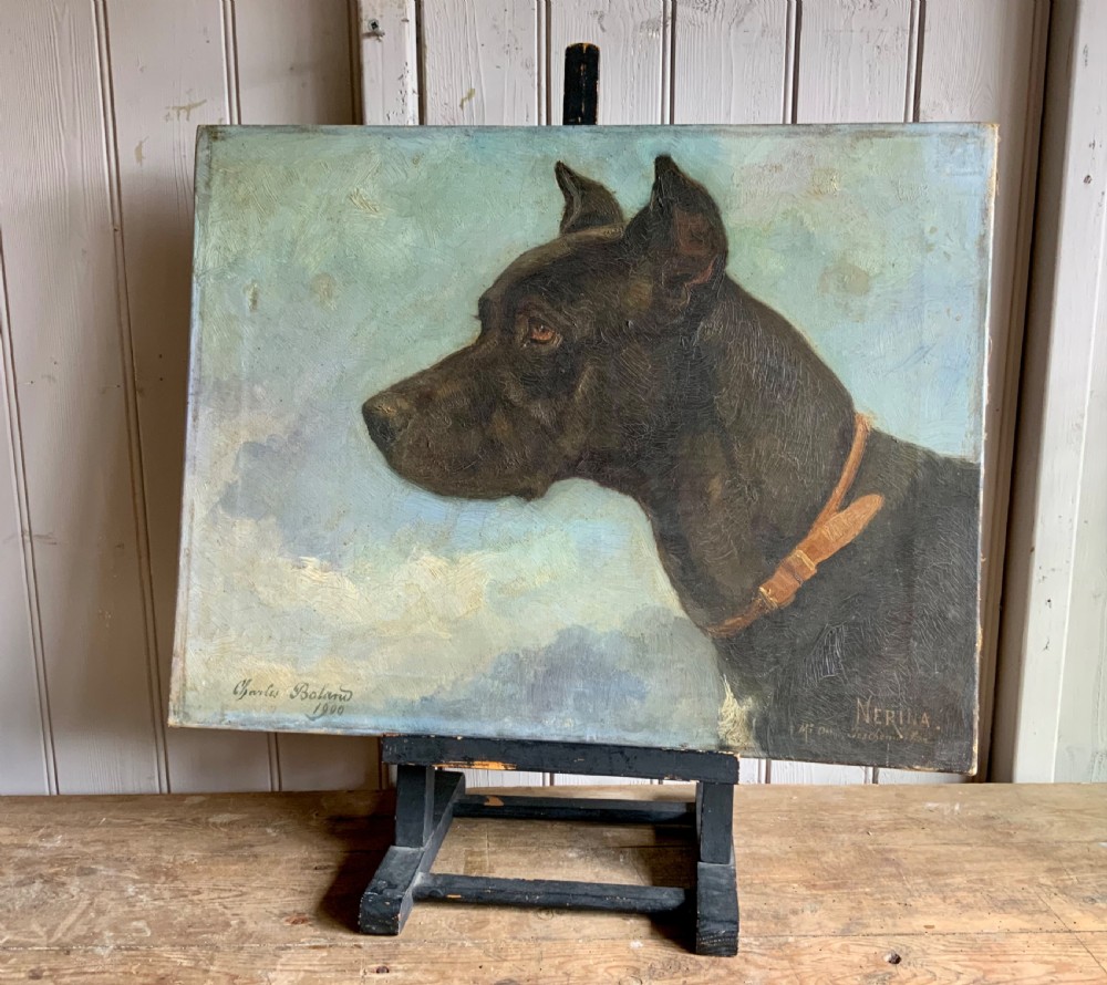 PORTRAIT OF NERINA THE DOG OIL ON CANVAS