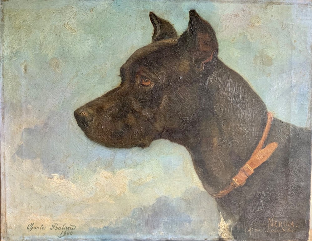 PORTRAIT OF NERINA THE DOG OIL ON CANVAS View II