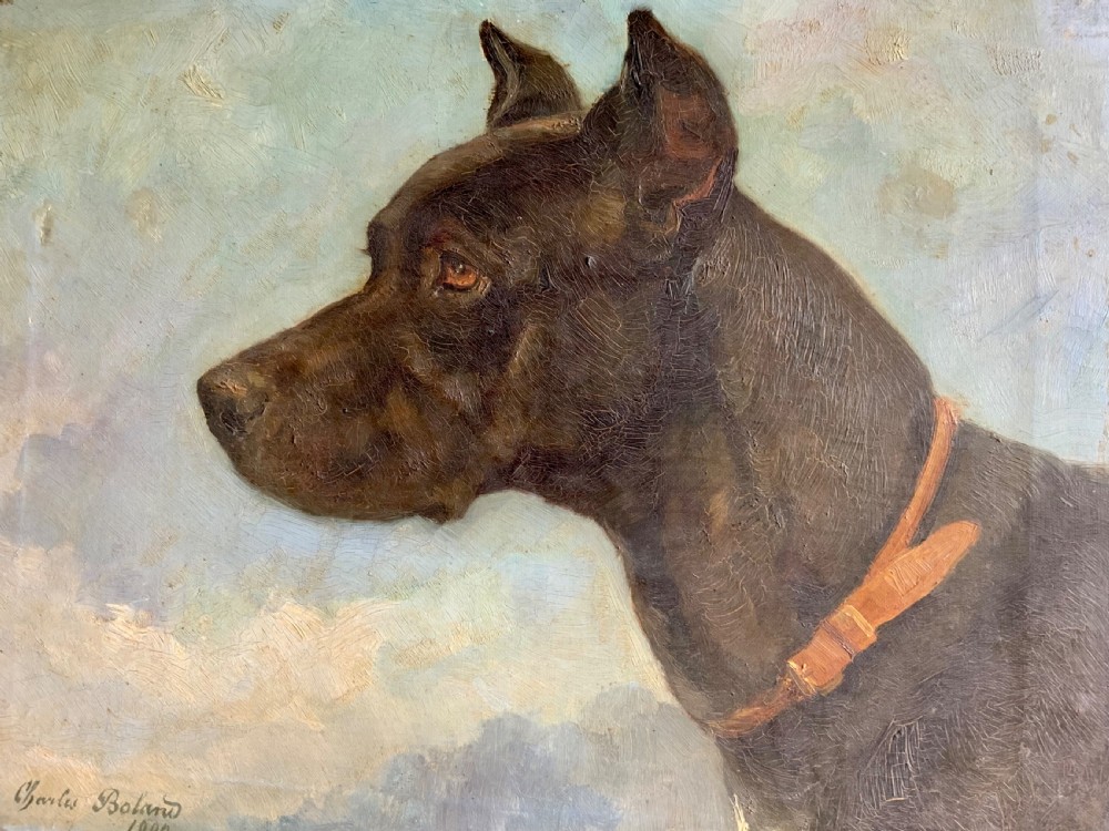 PORTRAIT OF NERINA THE DOG OIL ON CANVAS View IV