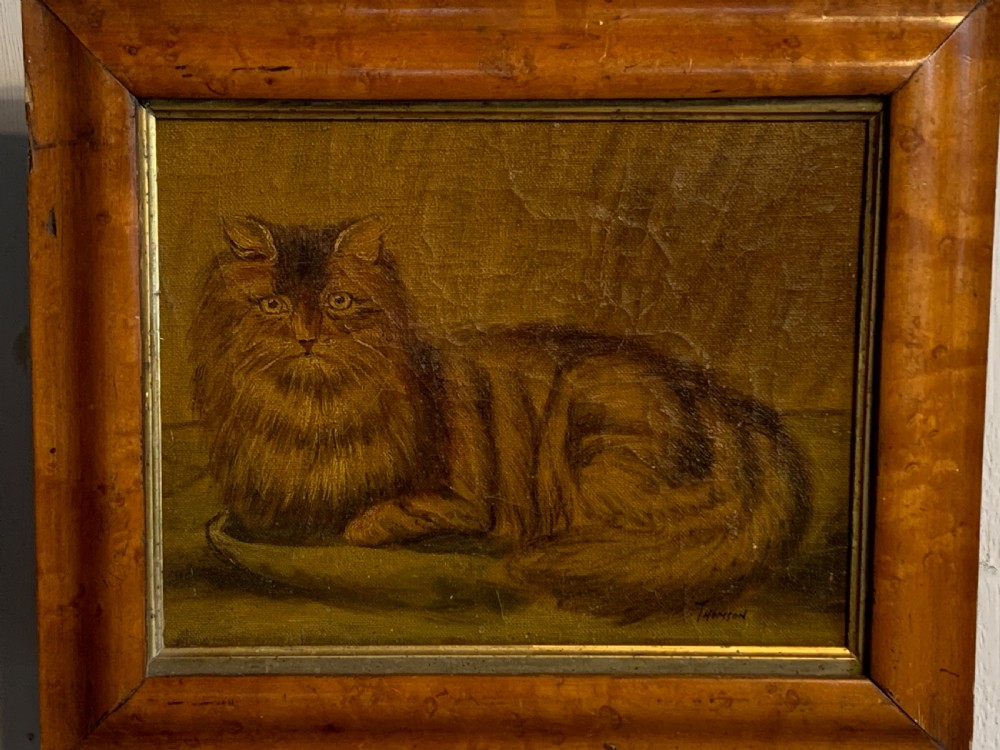 19thC NAIVE SCHOOL OIL PORTRAIT OF A CAT View II