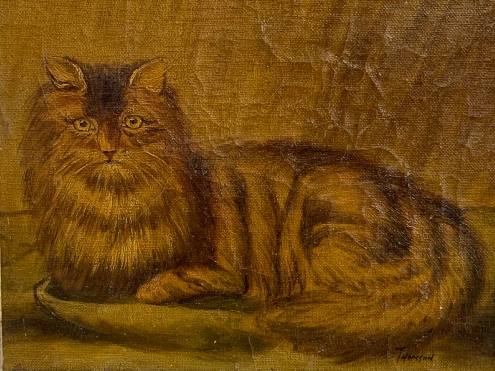 19thC NAIVE SCHOOL OIL PORTRAIT OF A CAT View III
