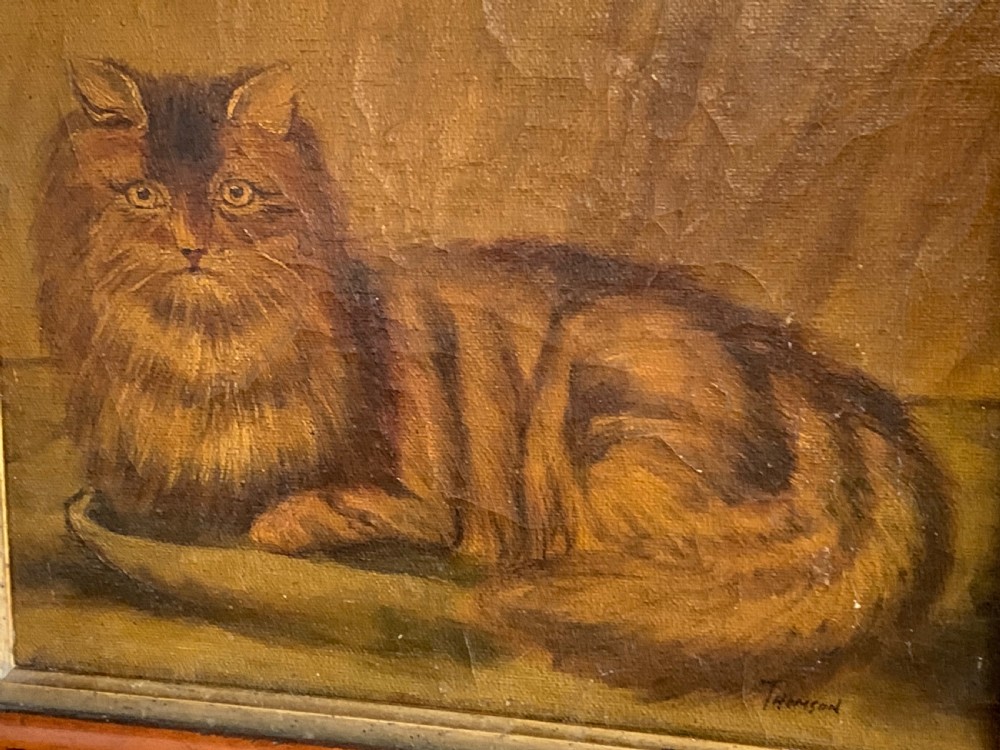 19thC NAIVE SCHOOL OIL PORTRAIT OF A CAT View IV