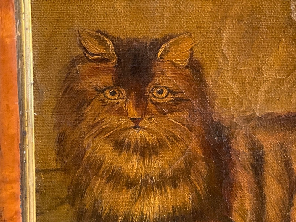 19thC NAIVE SCHOOL OIL PORTRAIT OF A CAT View VI