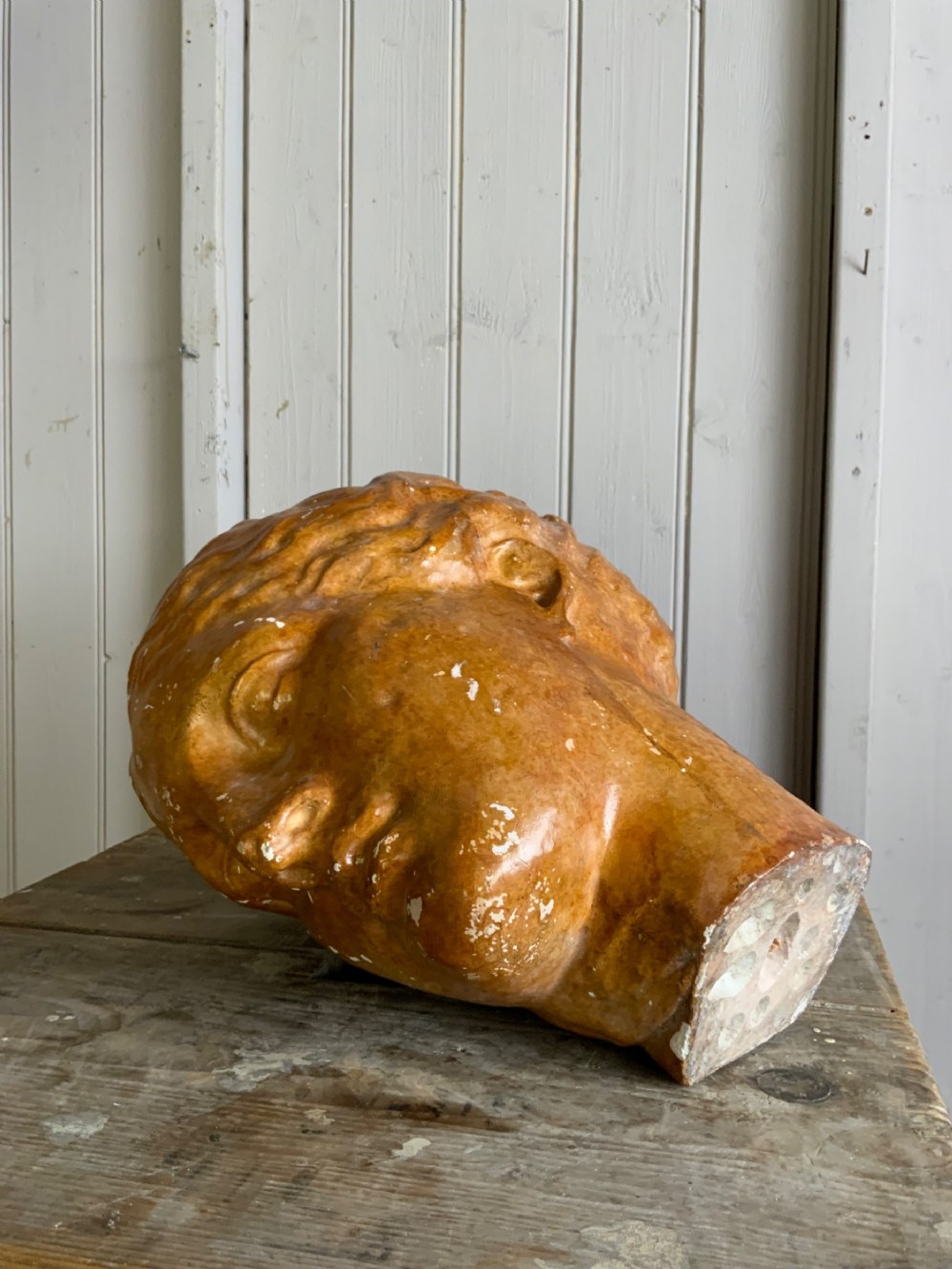 MUSEUM PLASTER HEAD