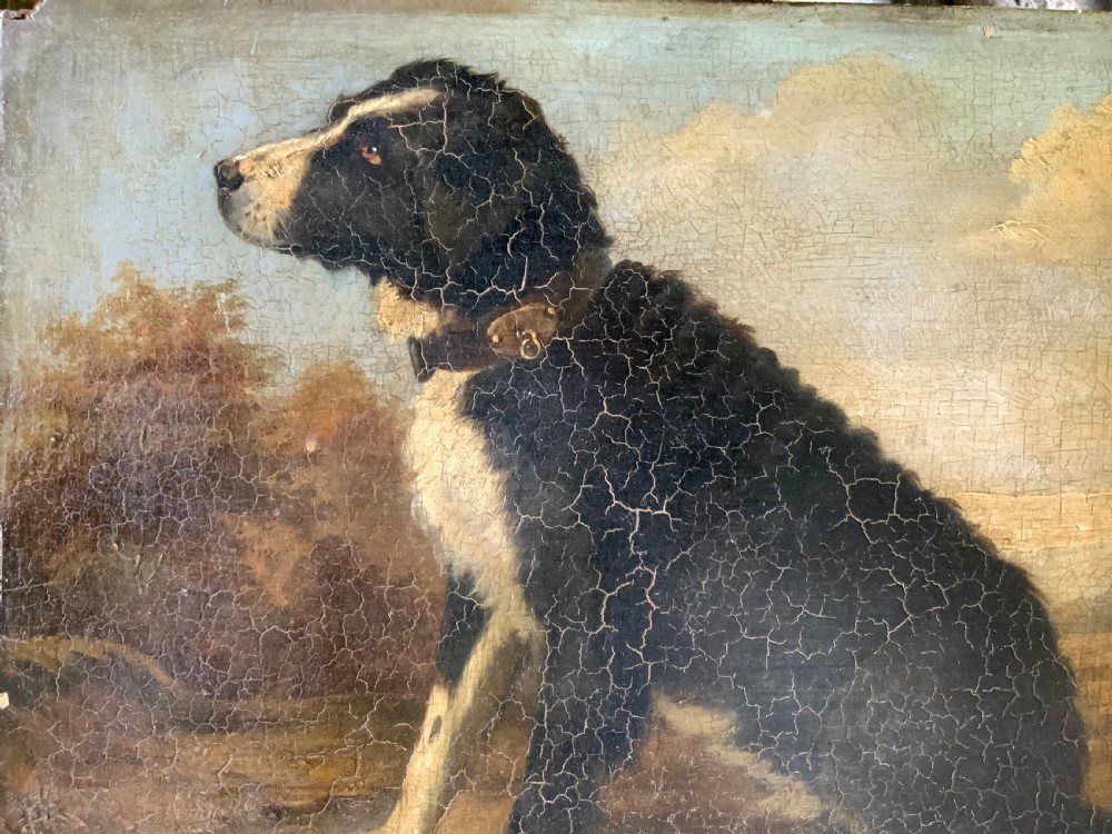 BELGIAN SCHOOL - PORTRAIT OF A DOG View II