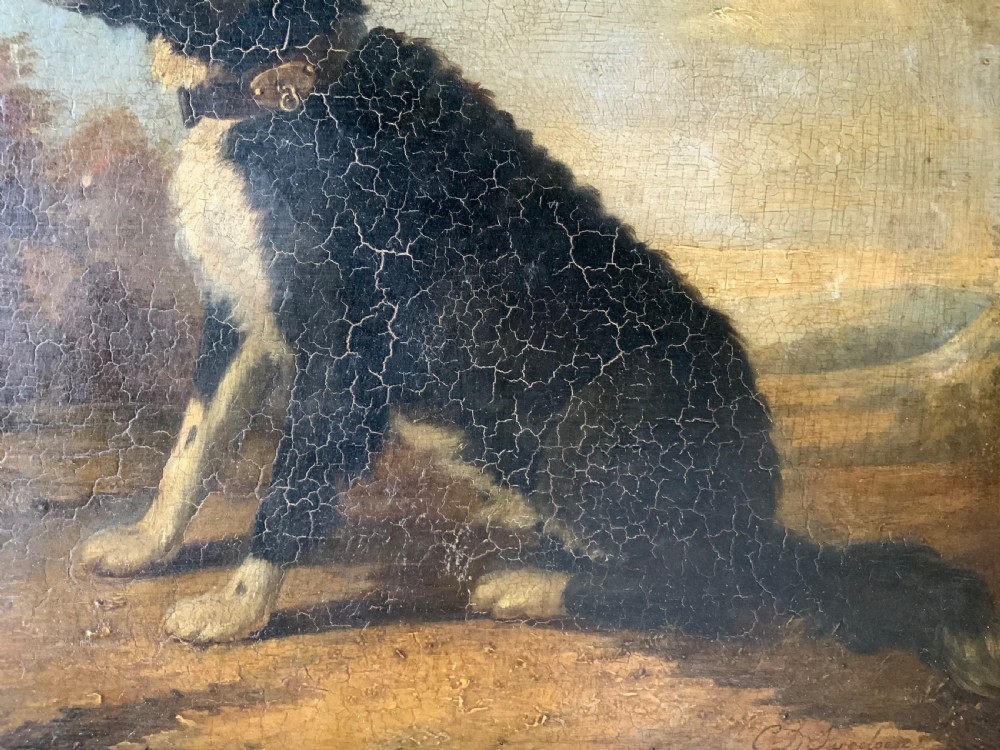 BELGIAN SCHOOL - PORTRAIT OF A DOG View IV