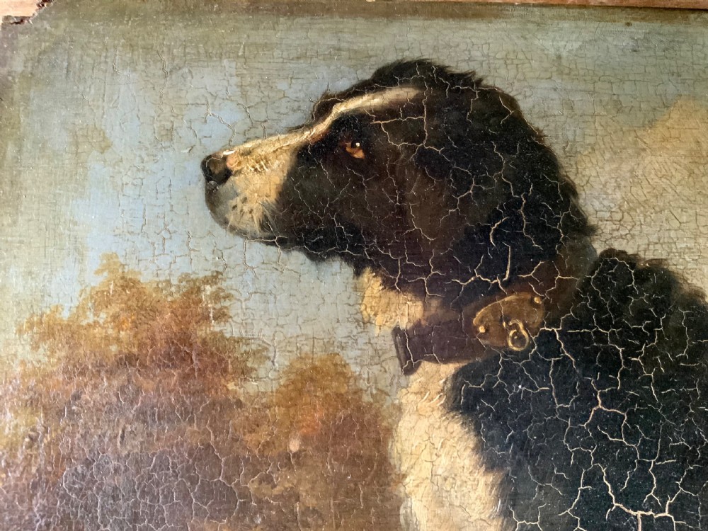 BELGIAN SCHOOL - PORTRAIT OF A DOG View V