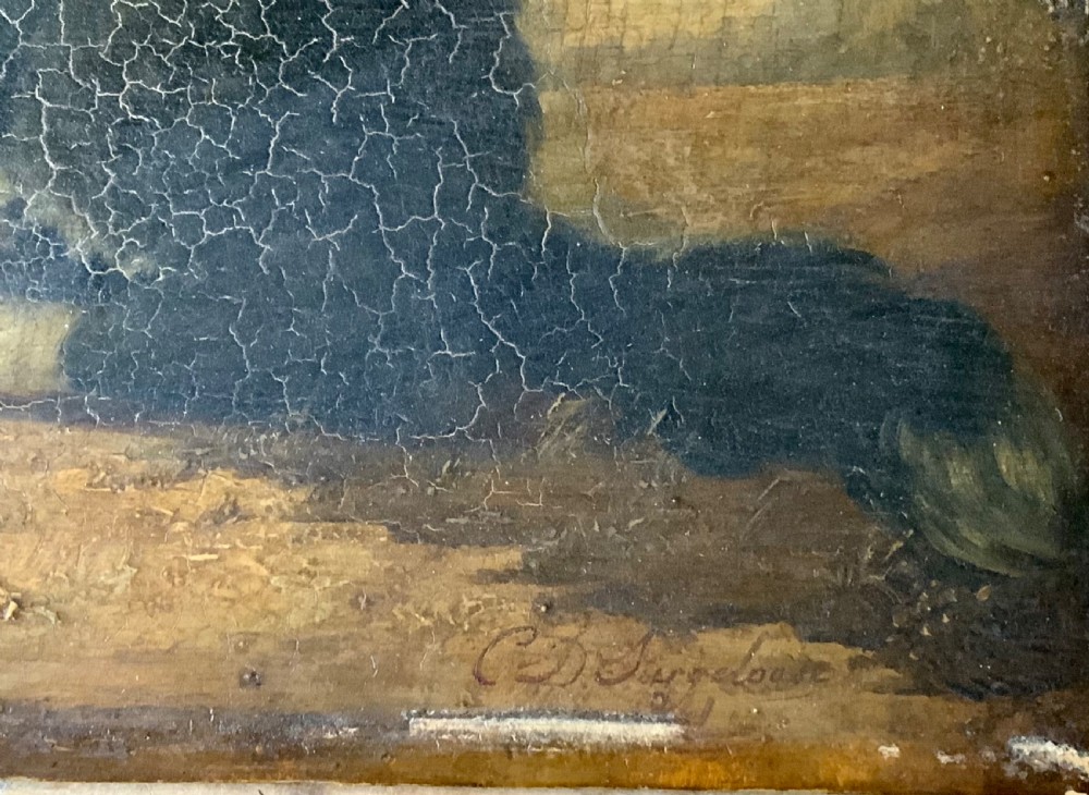 BELGIAN SCHOOL - PORTRAIT OF A DOG View VI