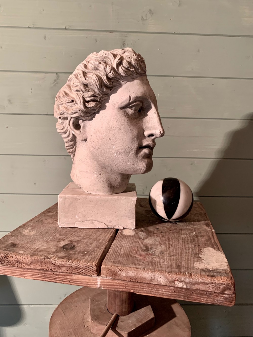 19th CENTURY MUSEUM PLASTER  -  A CLASSICAL PROFILE