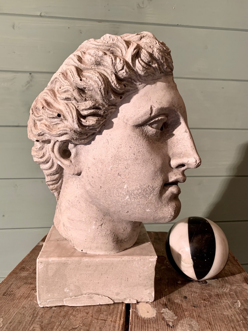 19th CENTURY MUSEUM PLASTER  -  A CLASSICAL PROFILE View II