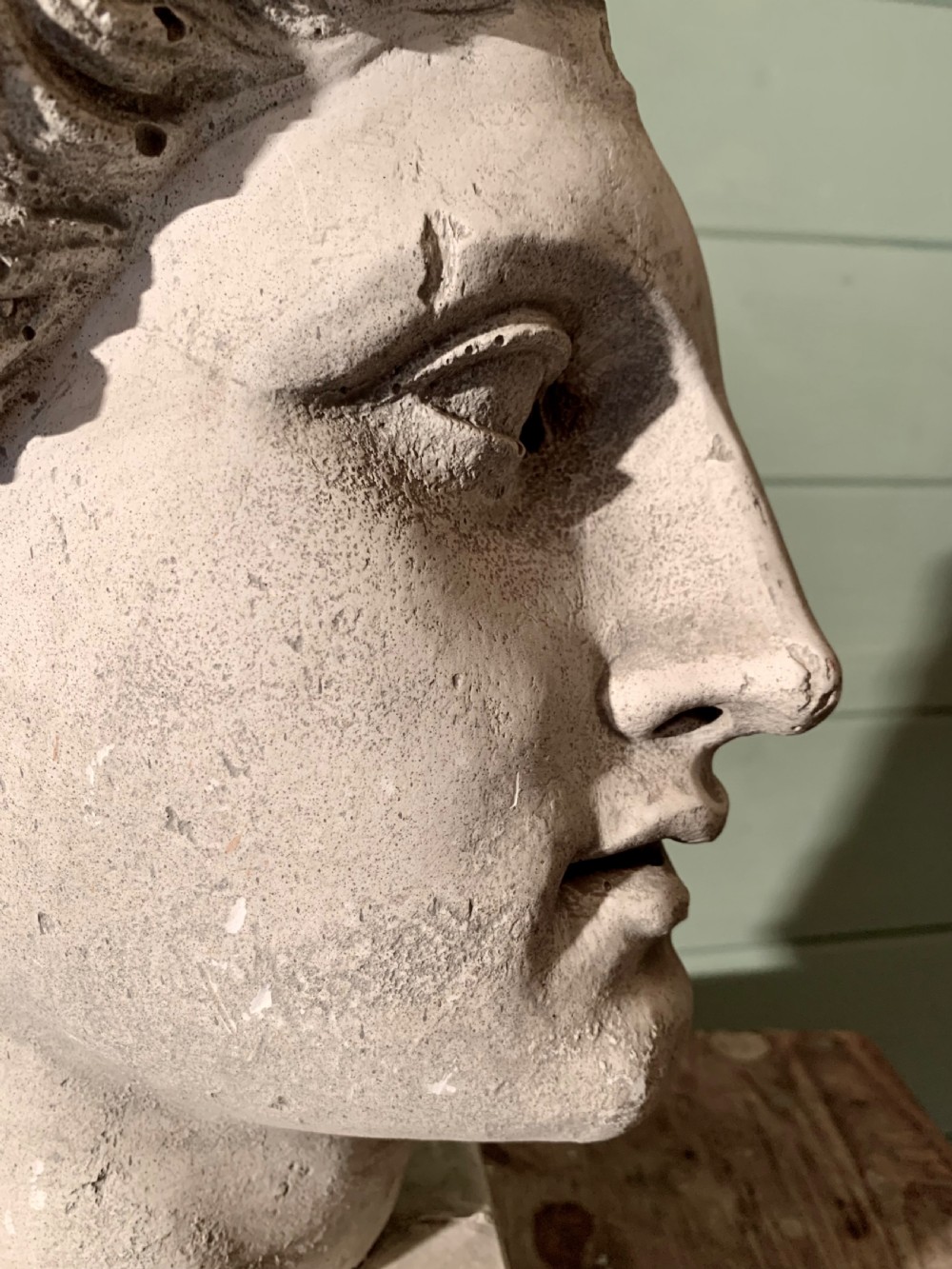 19th CENTURY MUSEUM PLASTER  -  A CLASSICAL PROFILE View III