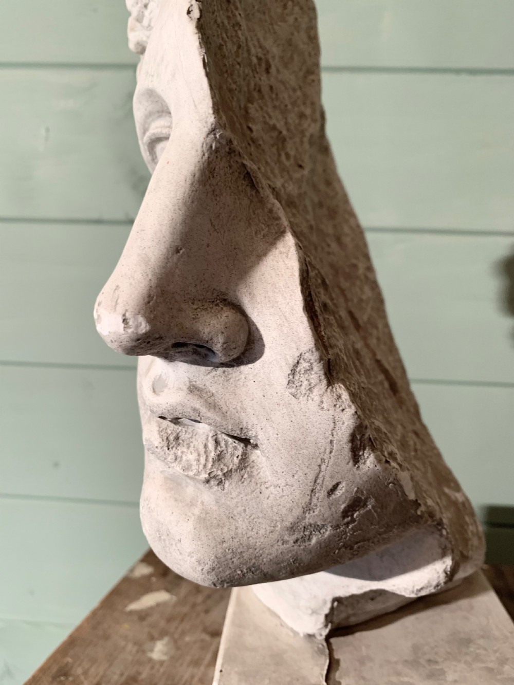 19th CENTURY MUSEUM PLASTER  -  A CLASSICAL PROFILE View V