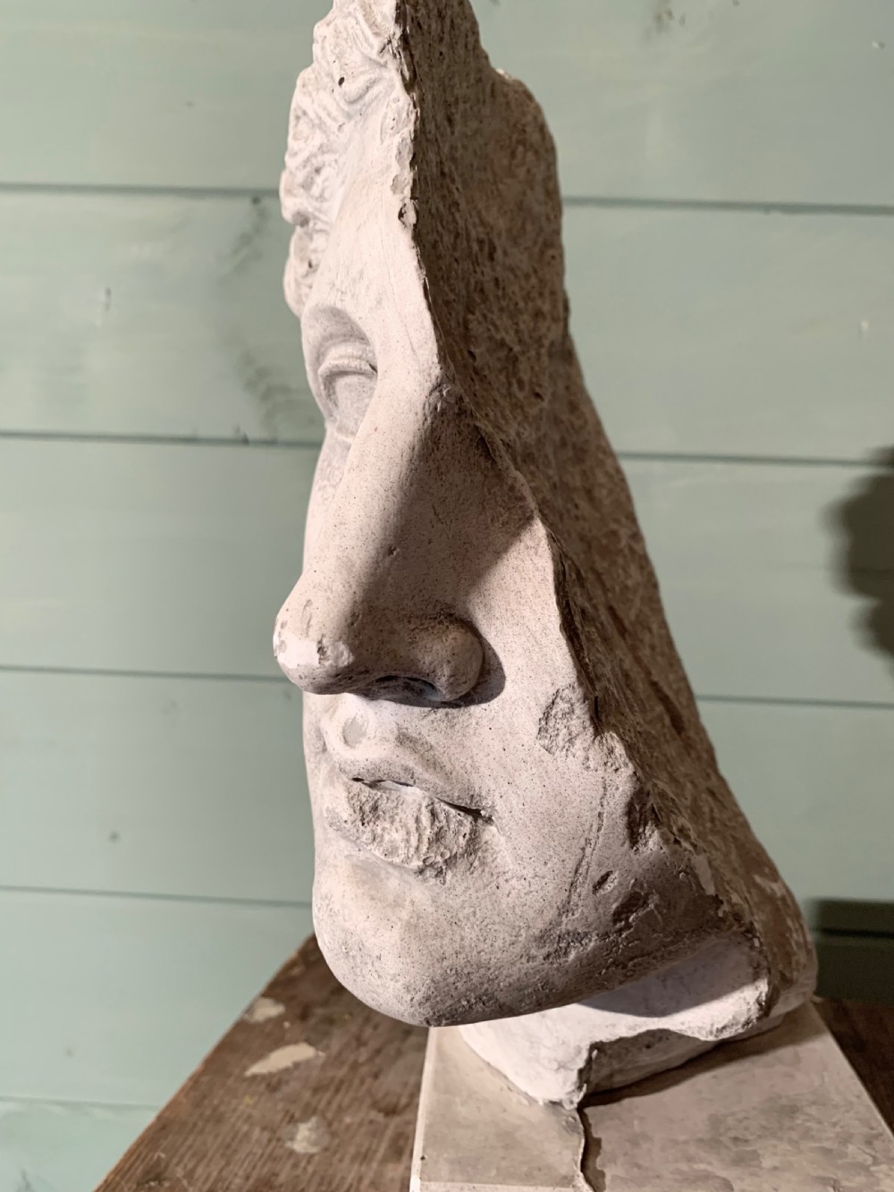 19th CENTURY MUSEUM PLASTER  -  A CLASSICAL PROFILE View VI