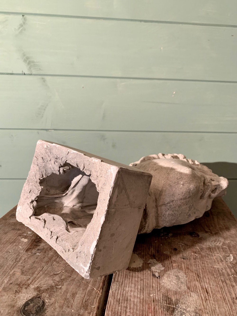 19th CENTURY MUSEUM PLASTER  -  A CLASSICAL PROFILE View IX