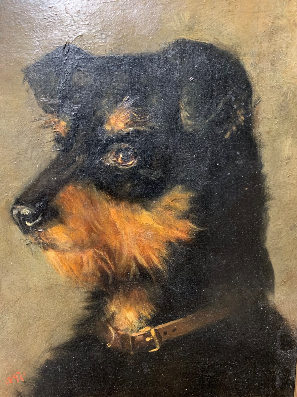 OIL PORTRAIT OF A DOG DATED 1897 View II