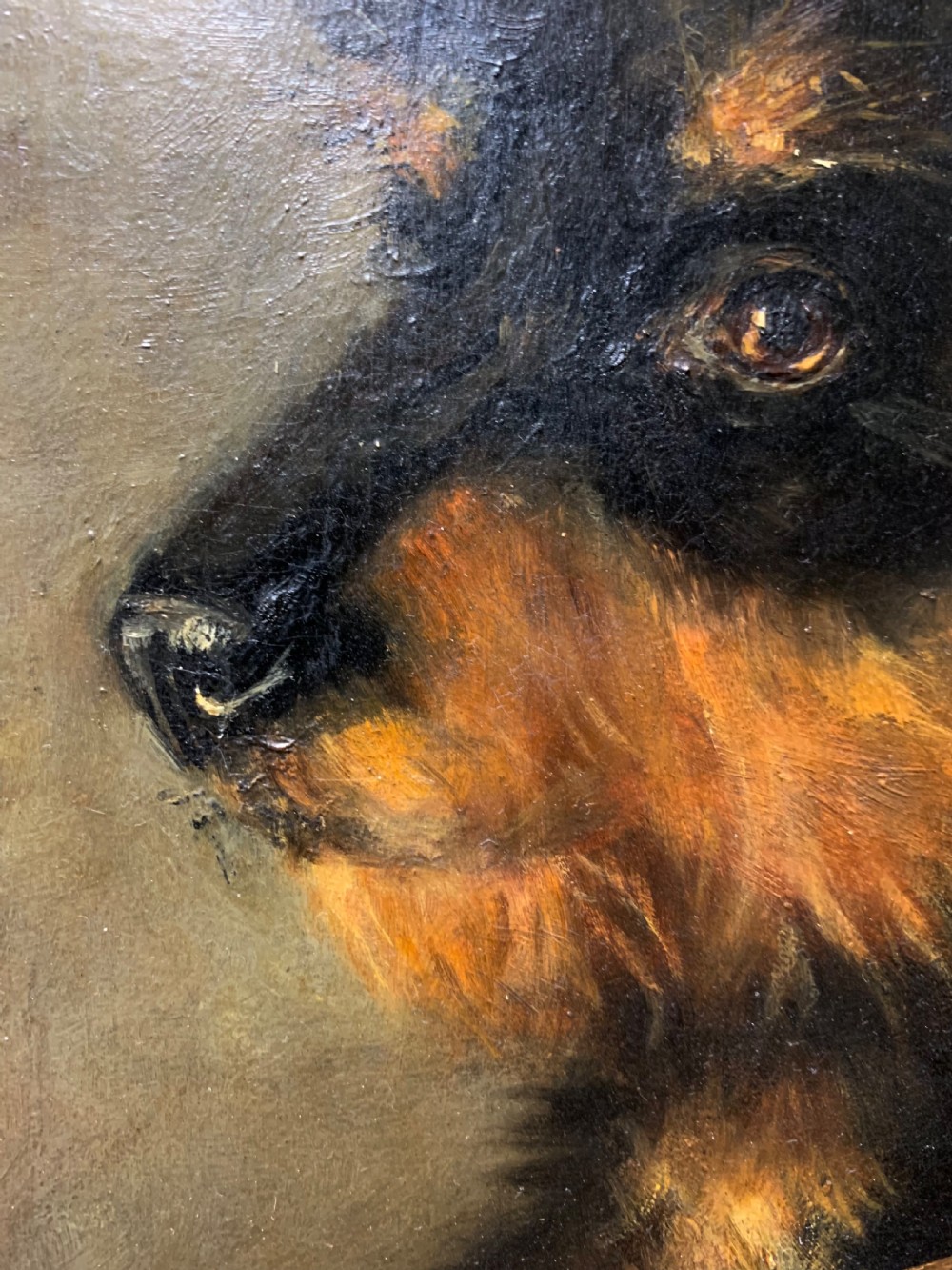 OIL PORTRAIT OF A DOG DATED 1897 View V