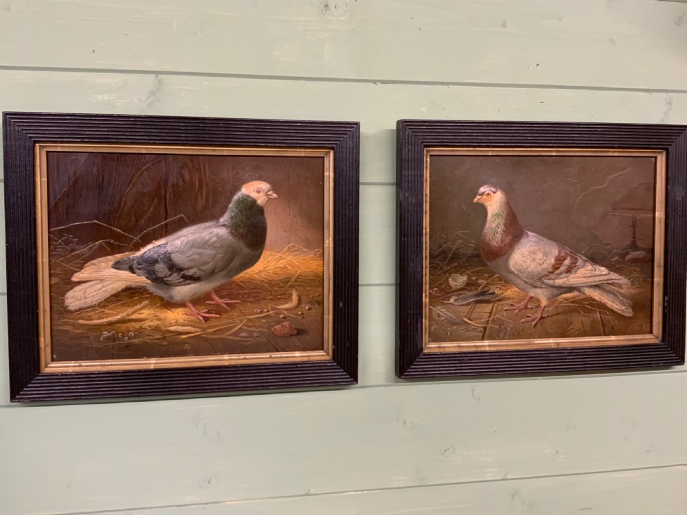 Two VICTORIAN EMBOSSED PICTURES OF RACING PIGEONS