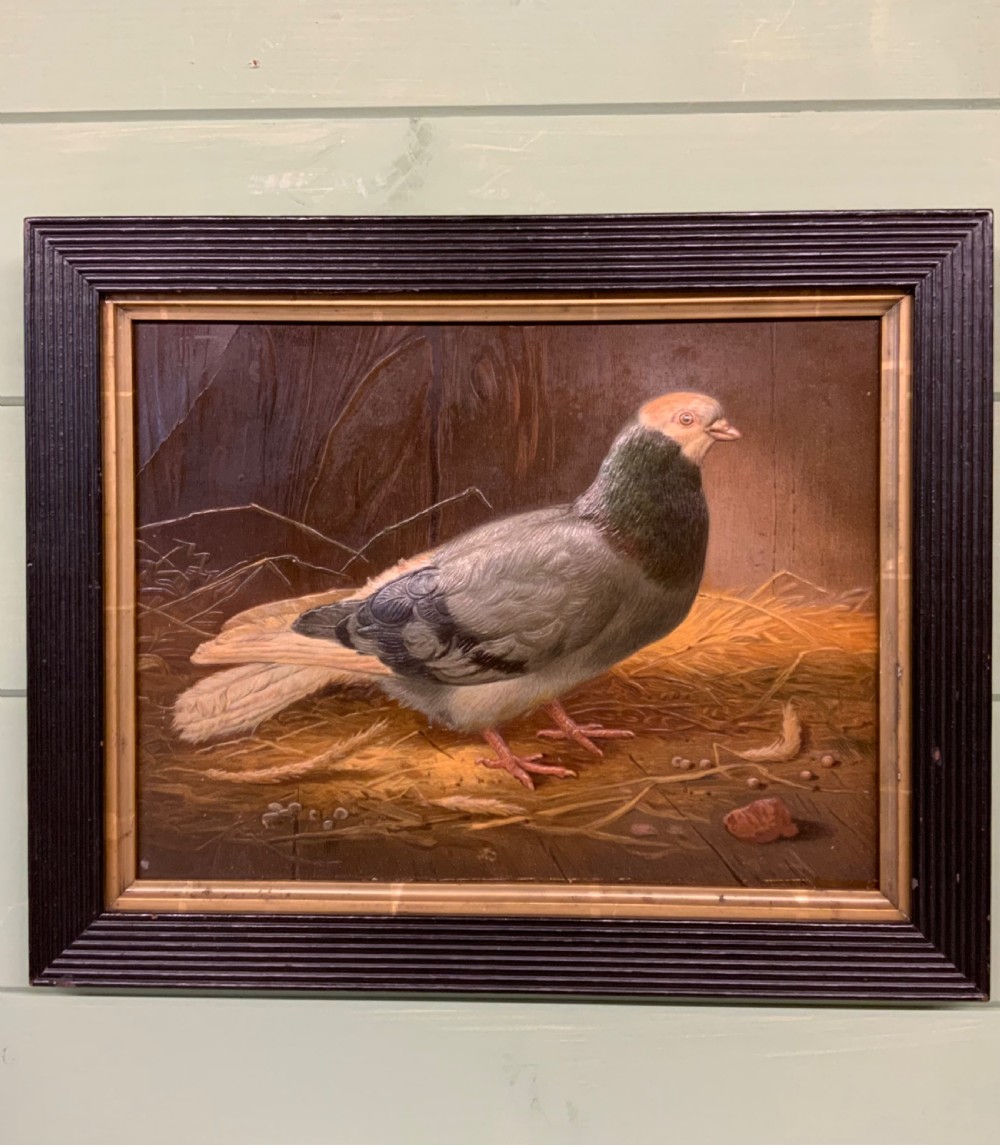 Two VICTORIAN EMBOSSED PICTURES OF RACING PIGEONS View II
