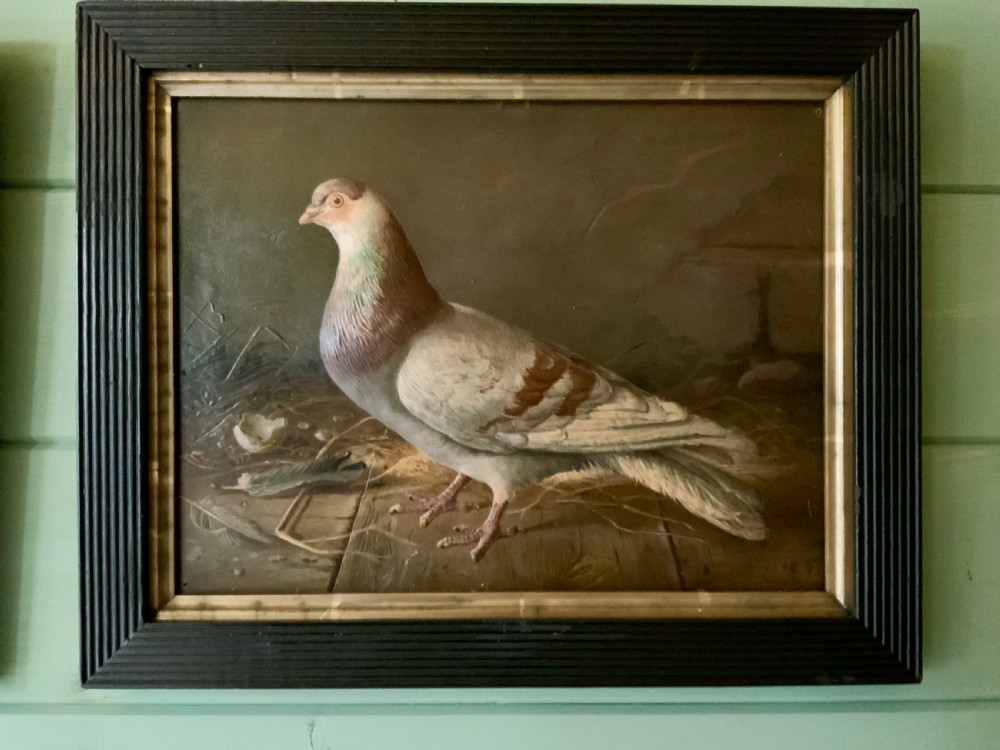 Two VICTORIAN EMBOSSED PICTURES OF RACING PIGEONS View V