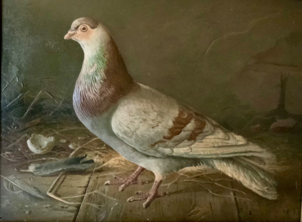Two VICTORIAN EMBOSSED PICTURES OF RACING PIGEONS View VI