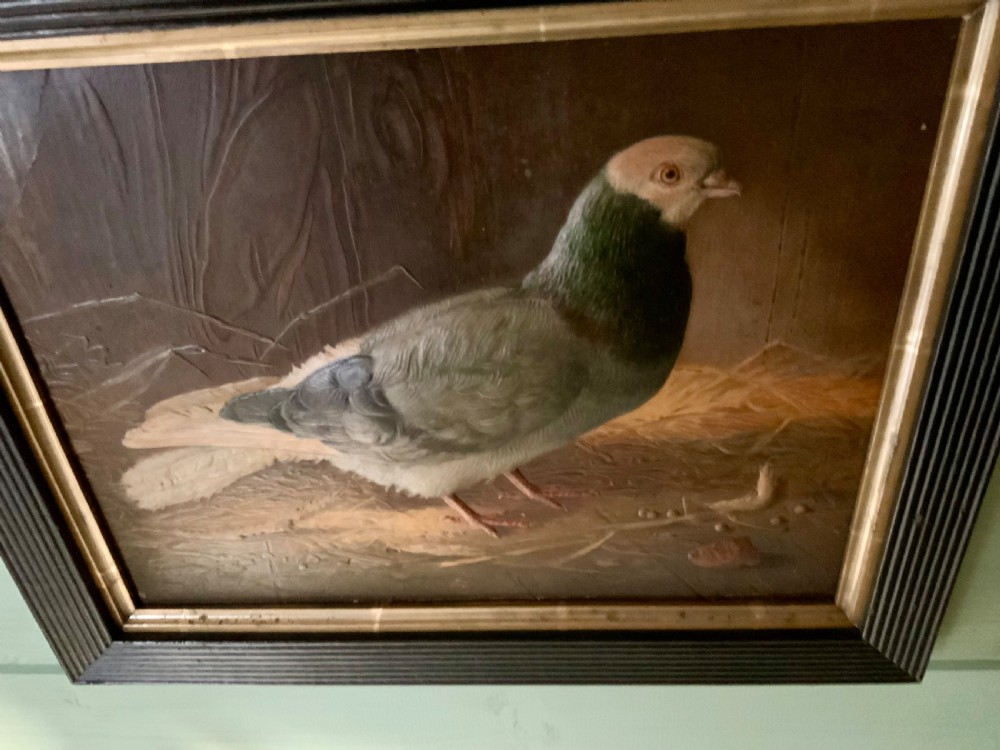 Two VICTORIAN EMBOSSED PICTURES OF RACING PIGEONS View IX