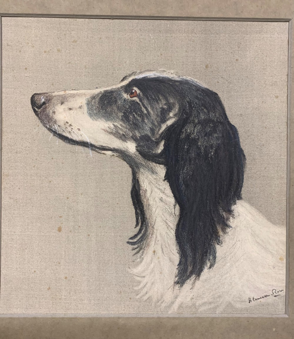 PORTRAIT OF A DOG View II