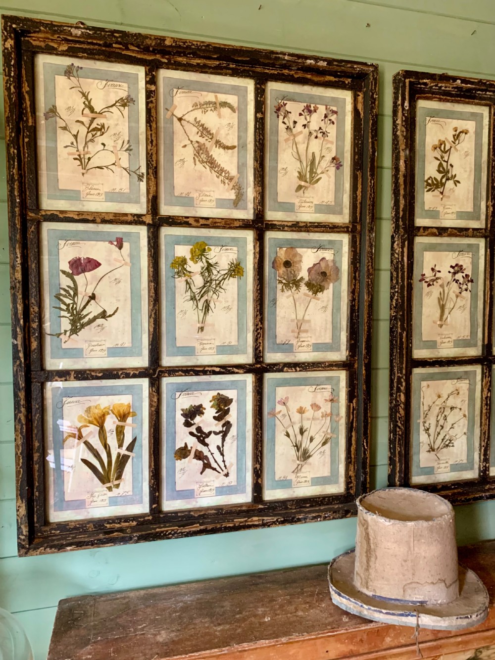 LARGE ANTIQUE ITALIAN PRESSED FLOWER HERBARIUMS IN ORIGINAL FRAMES