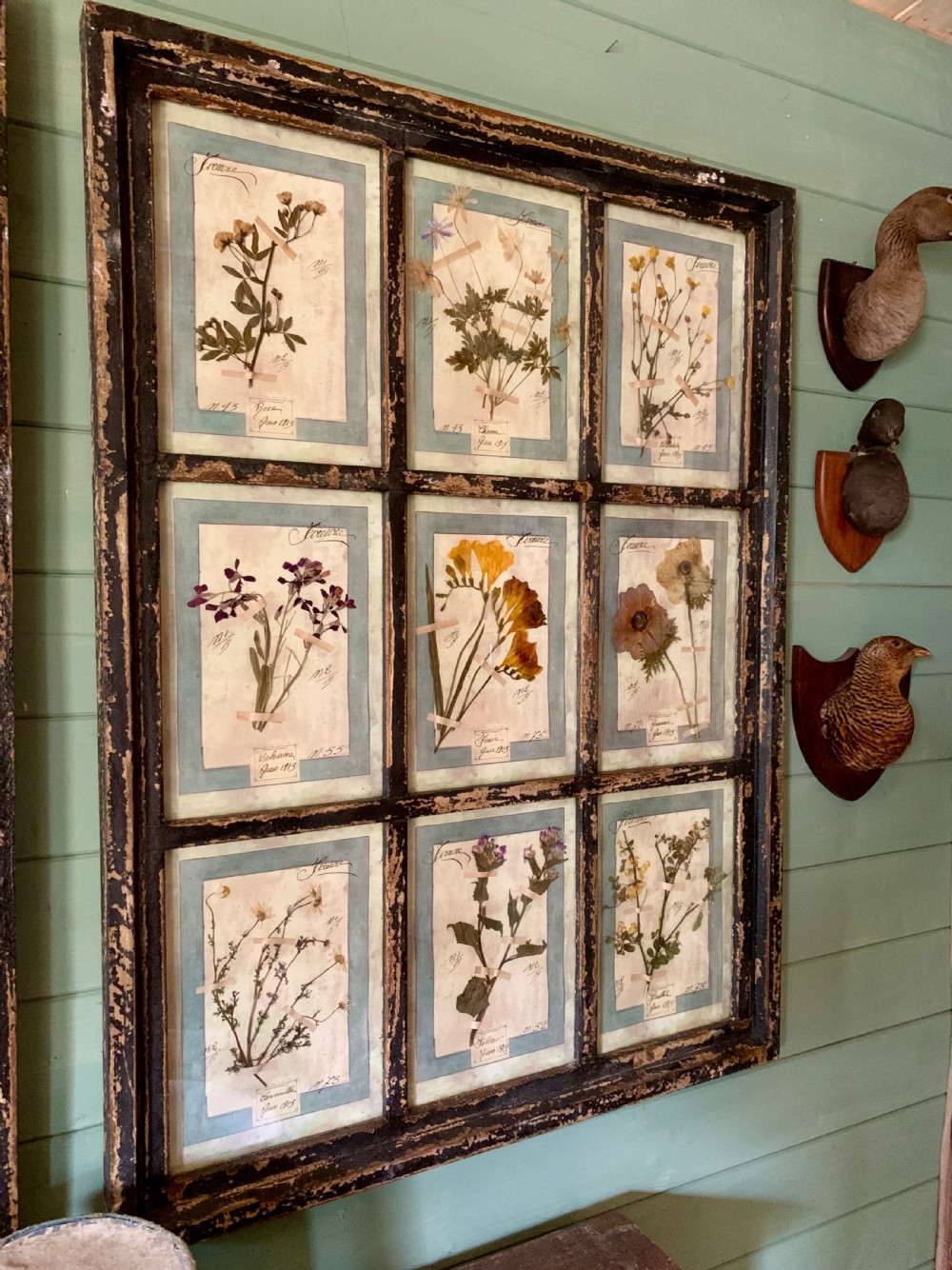 LARGE ANTIQUE ITALIAN PRESSED FLOWER HERBARIUMS IN ORIGINAL FRAMES View IV