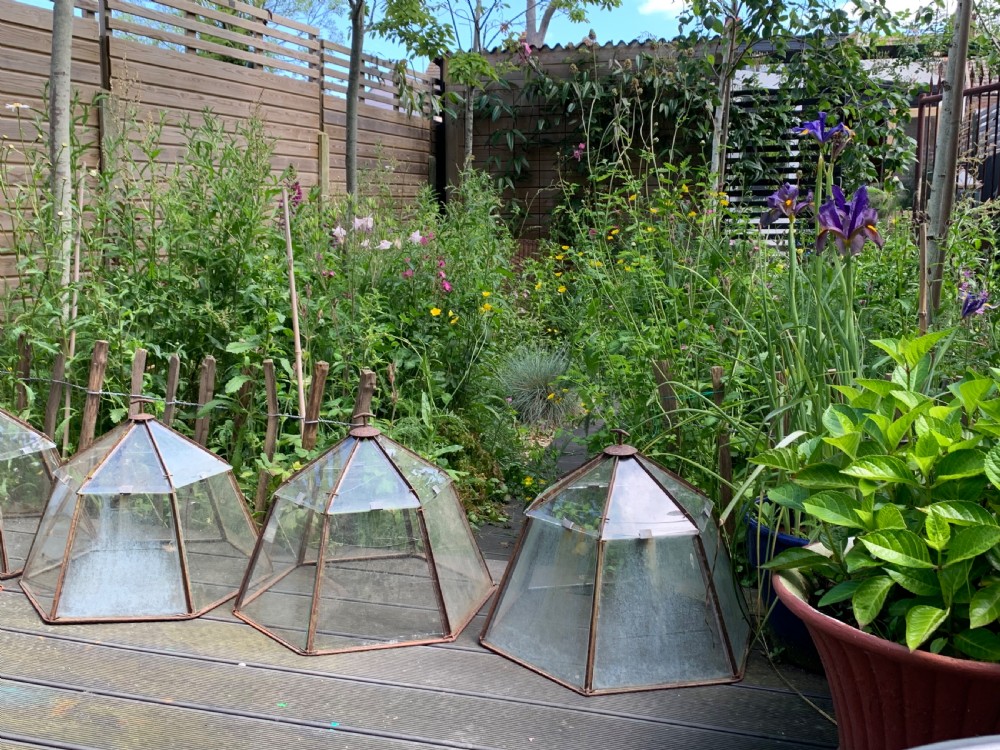 EARLY 20thC FRENCH GARDEN CLOCHES View II