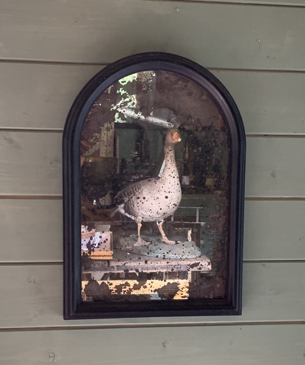 VICTORIAN WALL MIRROR WITH ORIGINAL FOXED MERCURY PLATE
